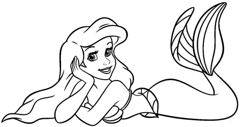 drawings/ariel-04-800x421.jpg