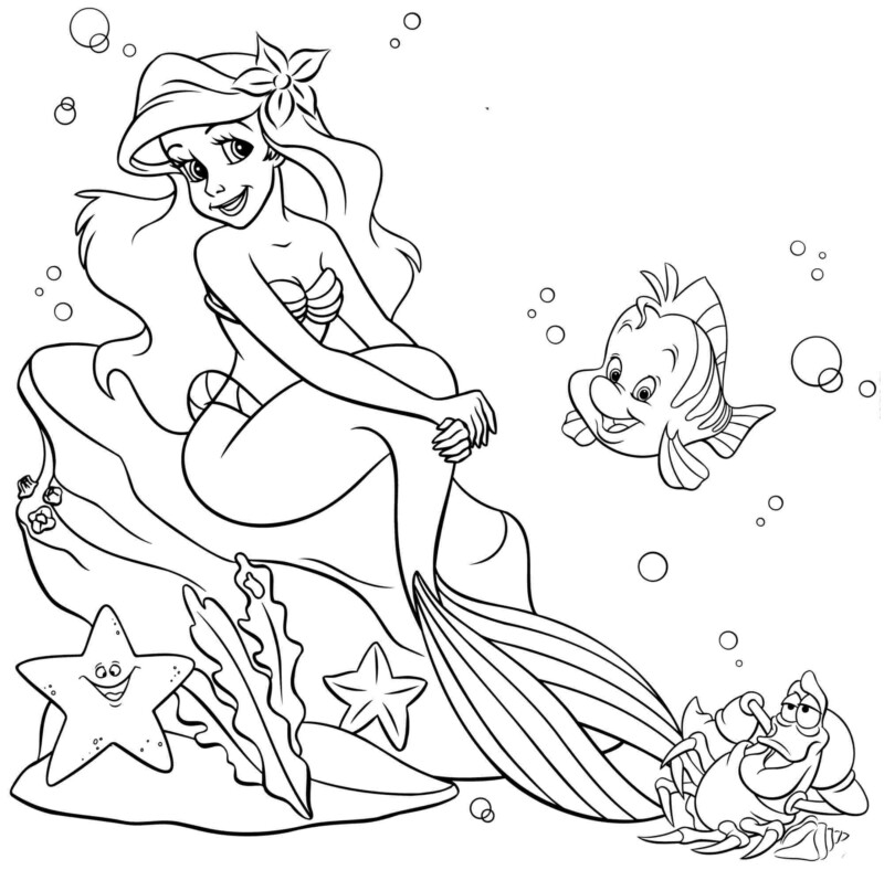 drawings/ariel-09-800x788.jpg