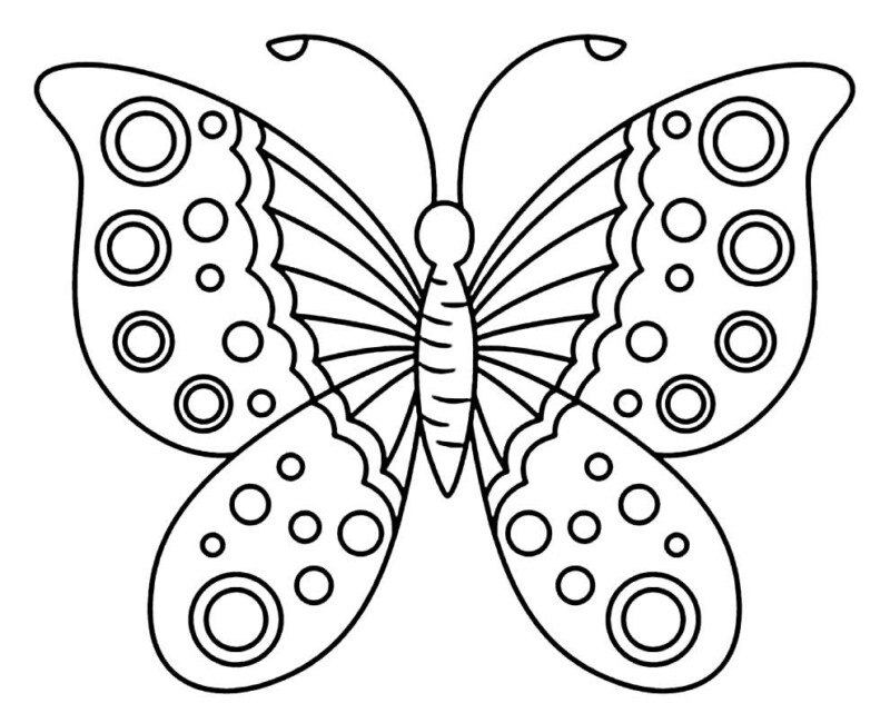 drawings/borboleta-2-800x650.jpg