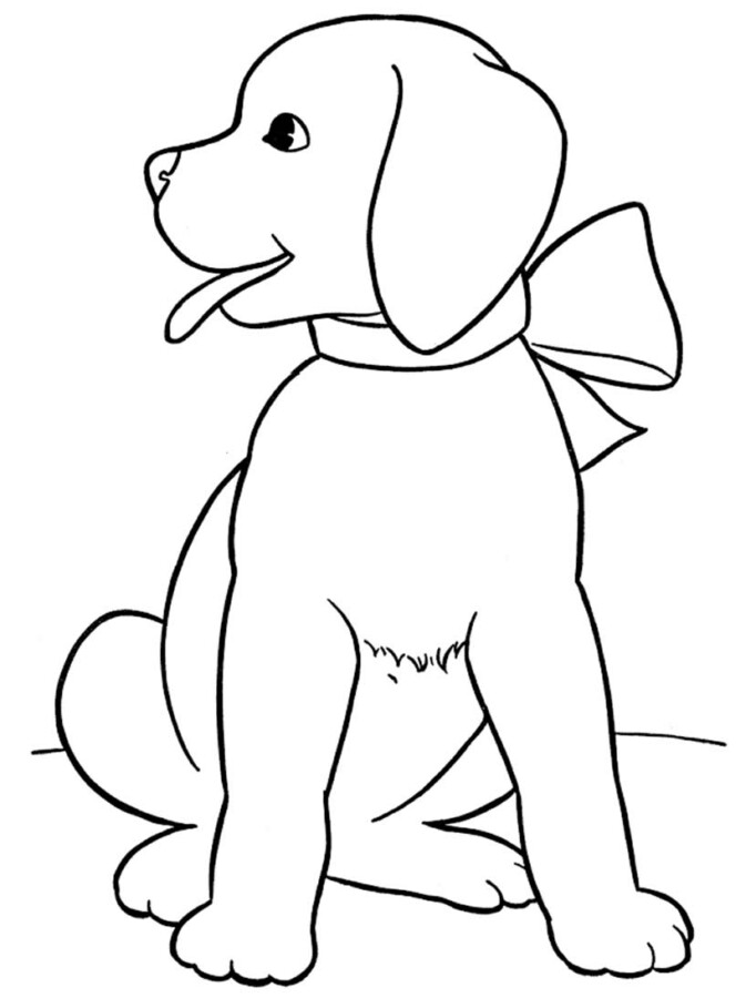 drawings/cachorros-12-682x900.jpg