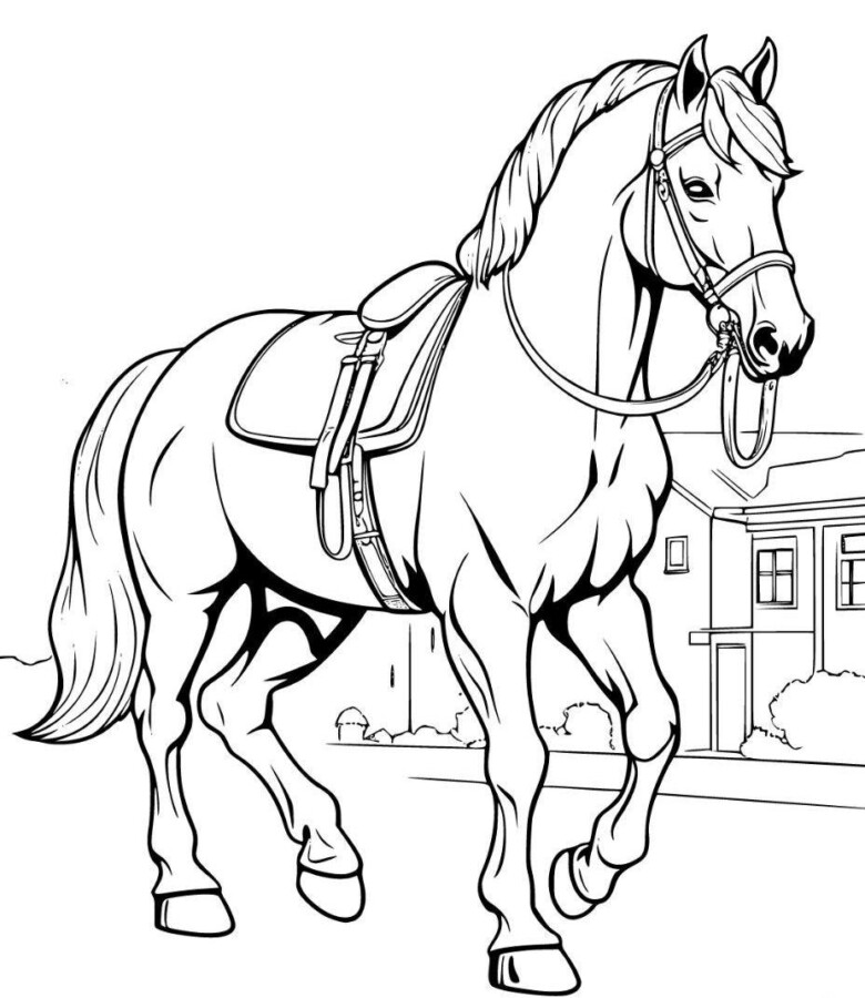 drawings/cavalo-para-colorir-22-780x900.jpeg