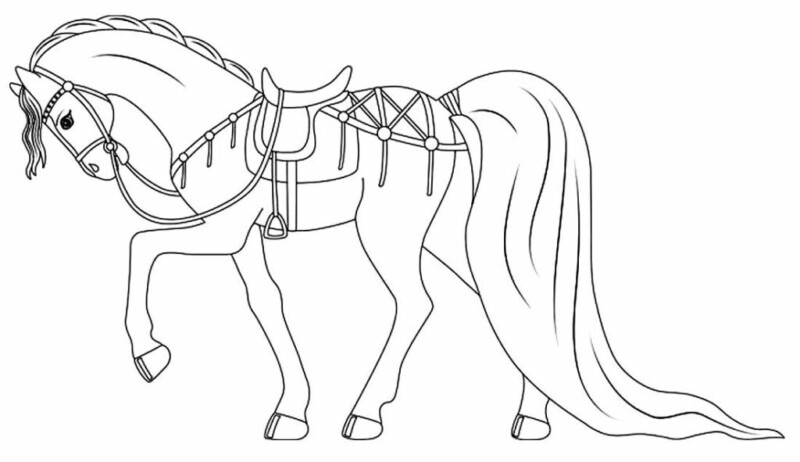 drawings/cavalos-para-colorir-23-800x462.jpeg