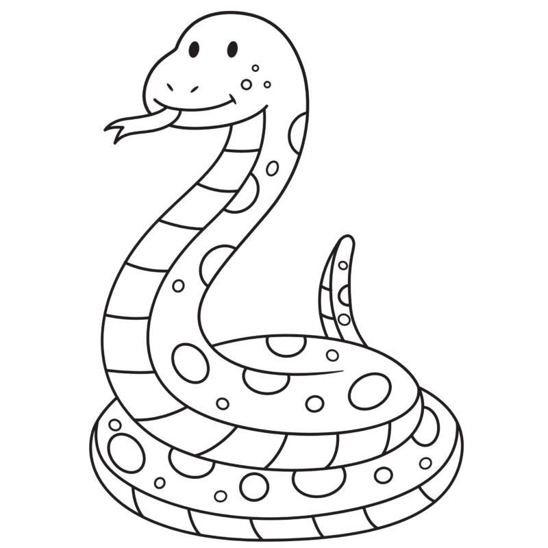 drawings/cobra-para-colorir-14-800x800.jpg