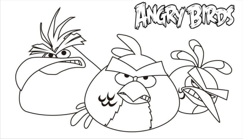 drawings/desenho-angry-birds-imprimir-17-800x459.jpg