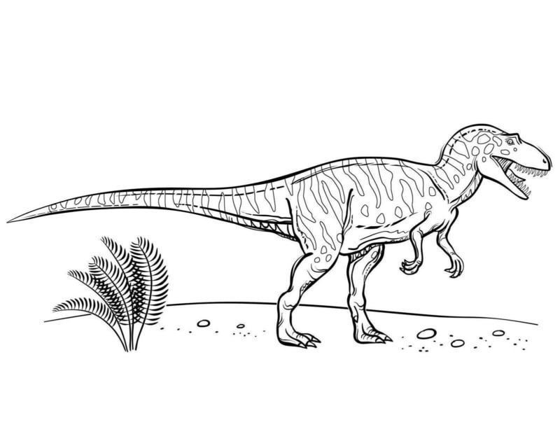 drawings/desenho-dinossauro-imprimir-colorirr-05-800x610.jpg