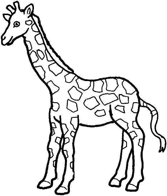 drawings/desenho-girafa-imprimir18.jpg