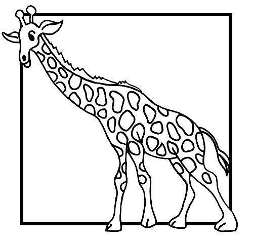 drawings/desenho-girafa-imprimir2.jpg