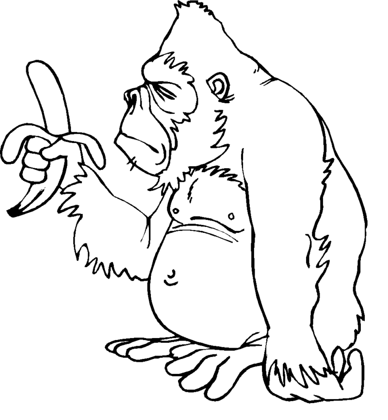 drawings/desenho-macaco-imprimir-colorir-15-800x866.gif