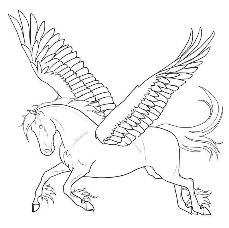 drawings/desenho-pegasus-imprimir-05-800x796.jpg