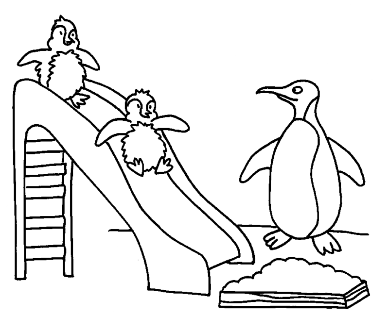 drawings/desenho-pinguin-imprimir12-800x649.gif