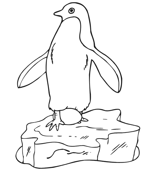 drawings/desenho-pinguin-imprimir4.gif