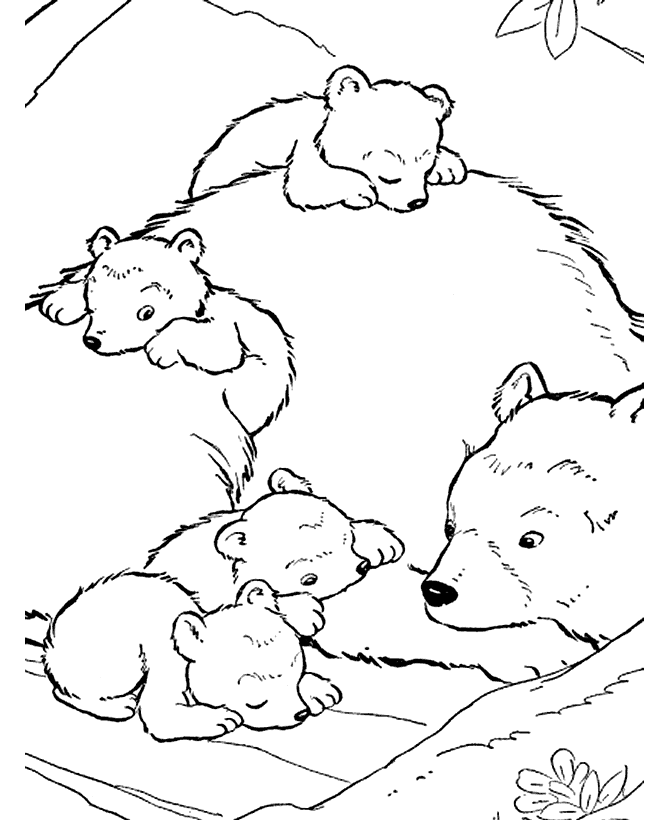 drawings/desenho-urso-colorir11.gif