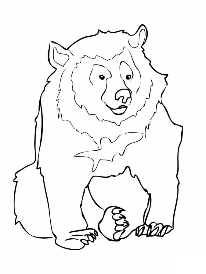 drawings/desenho-urso-colorir7-675x900.jpg