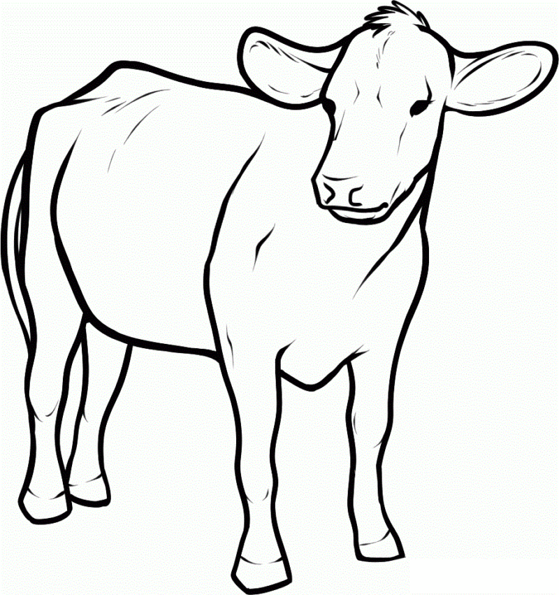 drawings/desenho-vaca-imprimir8-800x851.gif