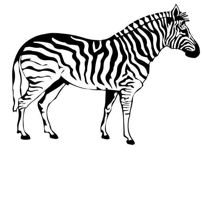 drawings/desenho-zebra-imprimir-colorir-10.jpg