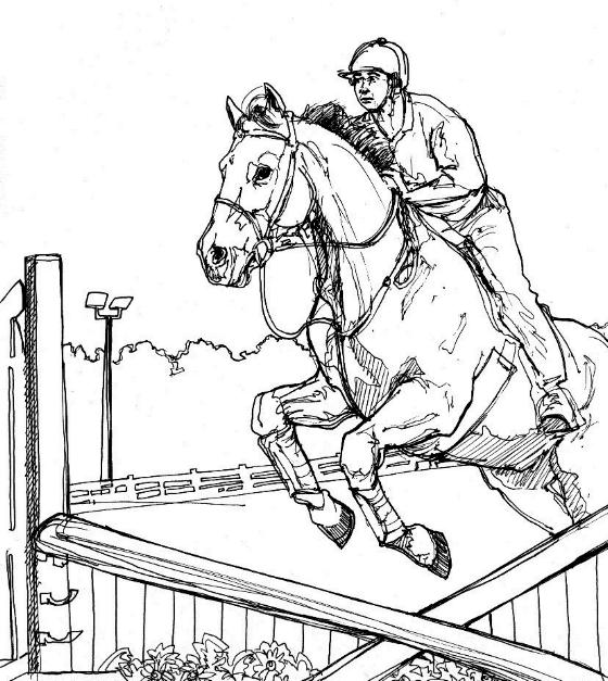 drawings/desenhos-cavalos-imprimir03.gif