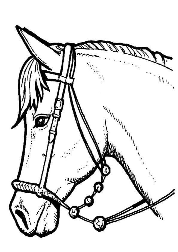 drawings/desenhos-cavalos-imprimir08.jpg