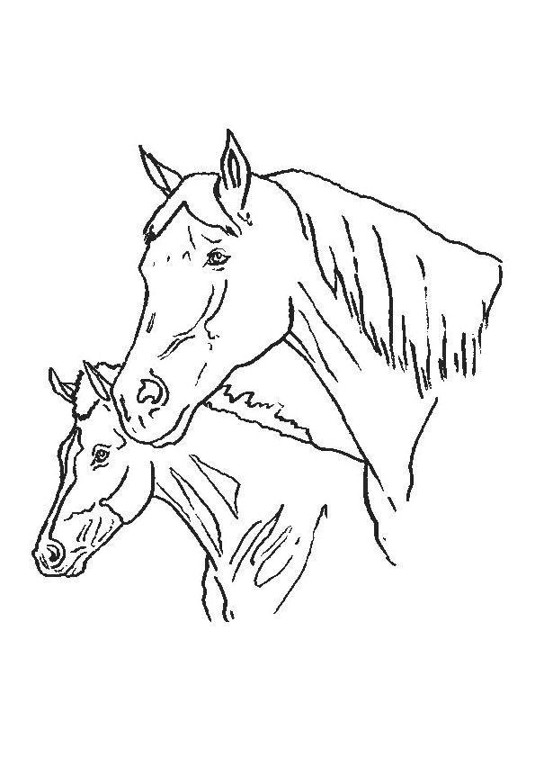 drawings/desenhos-cavalos-imprimir09.jpg