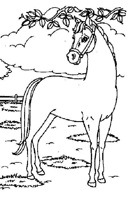 drawings/desenhos-cavalos-imprimir11.gif