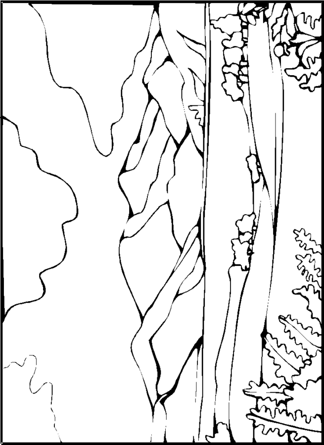 drawings/desenhos-paisagens-imprimir2-655x900.png