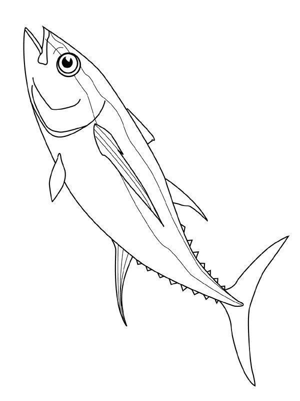 drawings/desenhos-peixes-imprimir02.jpg