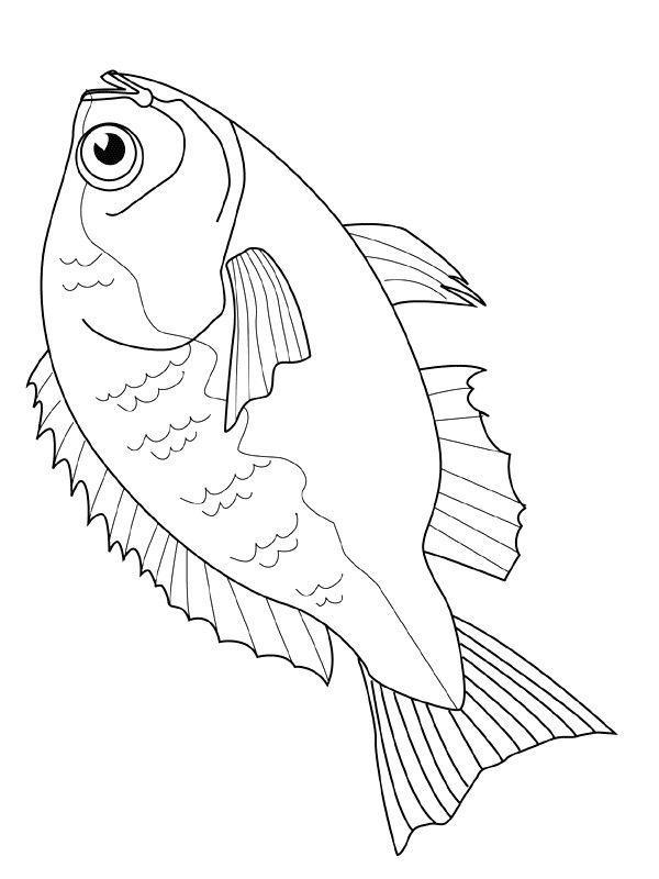 drawings/desenhos-peixes-imprimir04.jpg