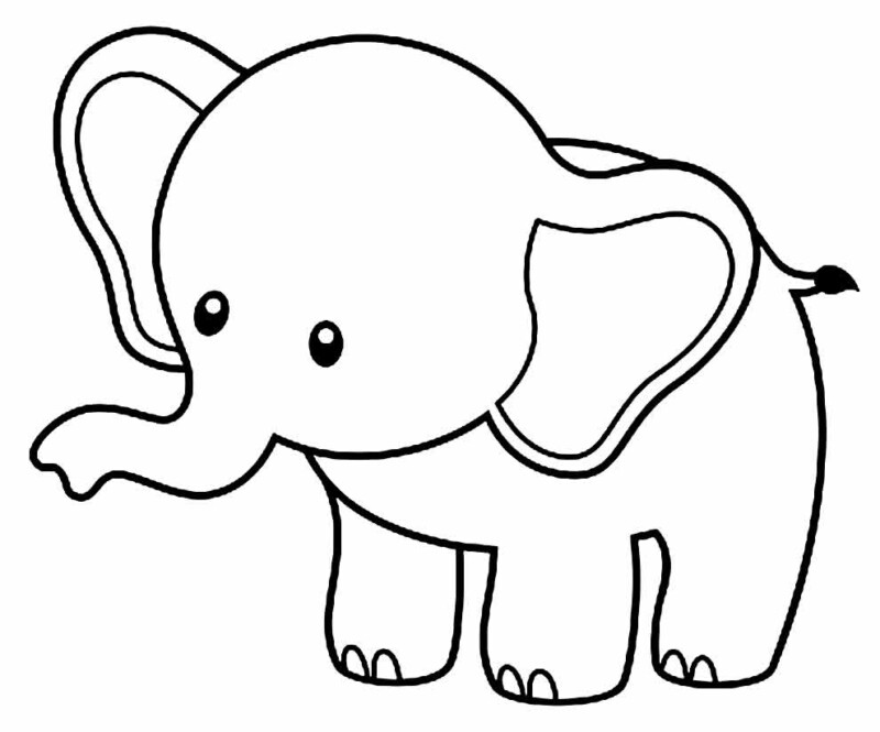 Elefante