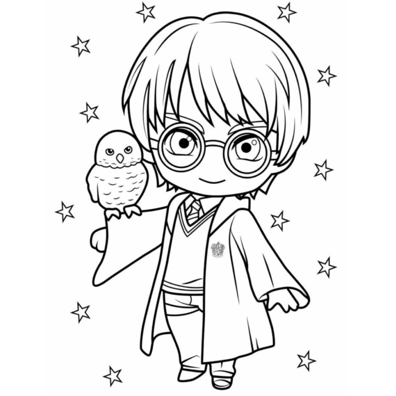 drawings/harry-potter-para-colorir-30-800x800.jpg