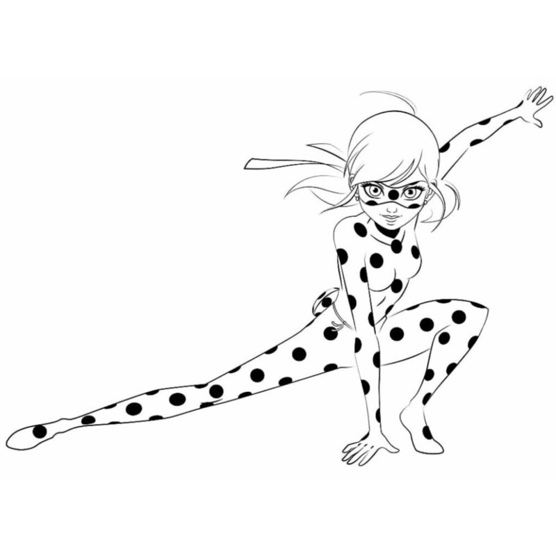 drawings/ladybug-para-colorir-31-800x800.jpg