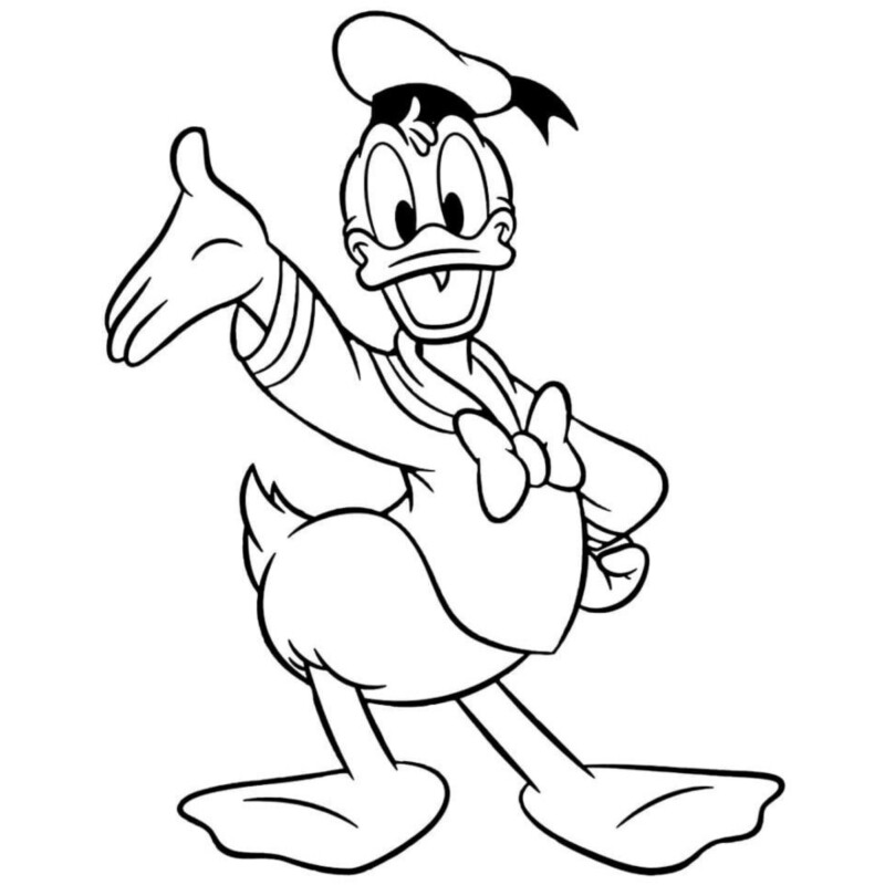 drawings/pato-donald-para-colorir-11-800x800.jpg