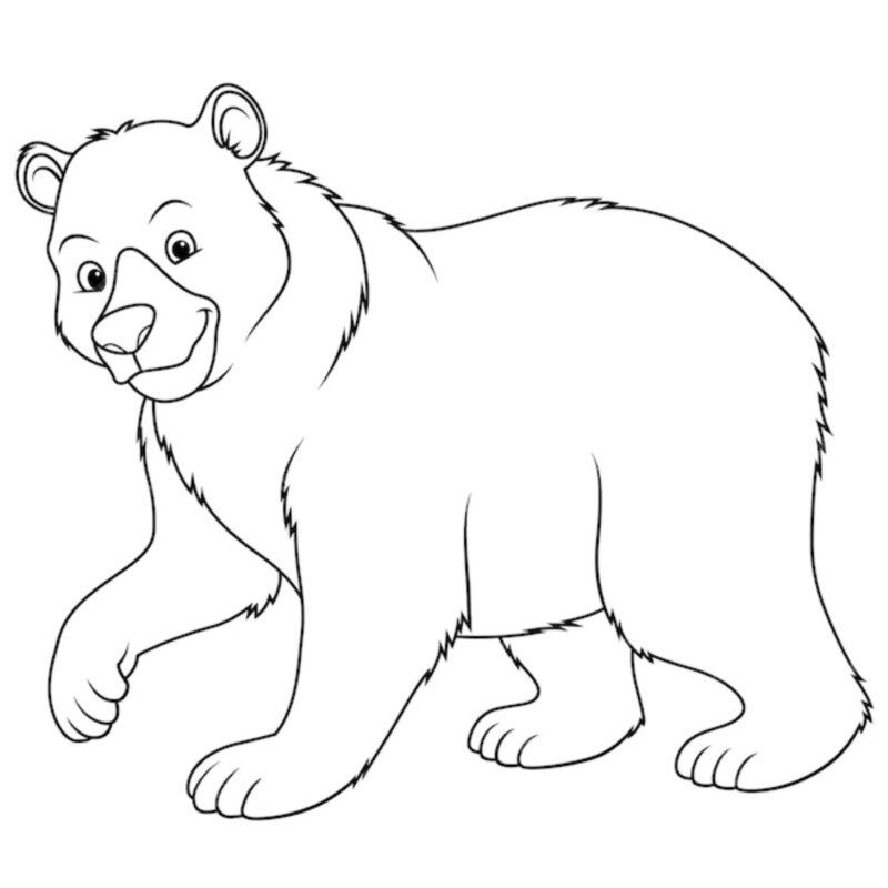 drawings/urso-para-colorir-12-800x800.jpg